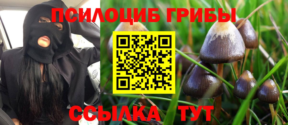 Галлюциногенные грибы MAGIC MUSHROOMS Сорочинск