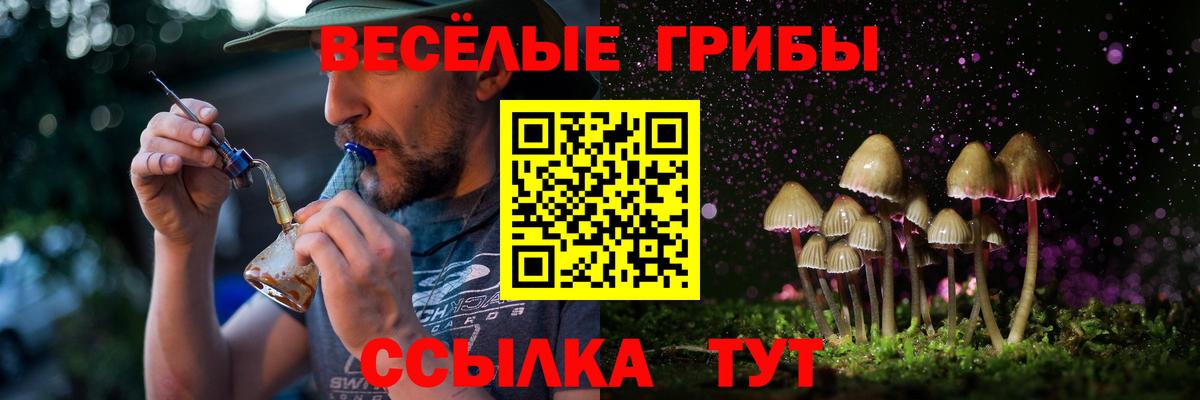 Галлюциногенные грибы мухоморы  Галлюциногенные грибы Psilocybine cubensis  наркотики  Вход с VPN  Сорочинск 
